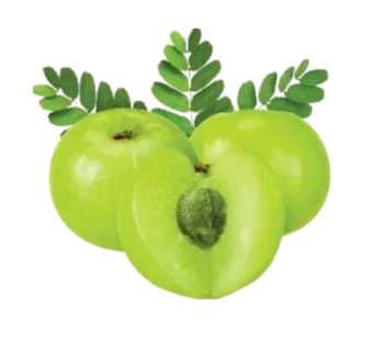 Fresh Amla 1kg